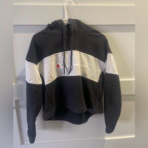 Champion Cropped Hoodie